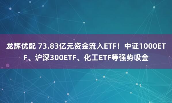 龙辉优配 73.83亿元资金流入ETF！中证1000ETF、沪深300ETF、化工ETF等强势吸金